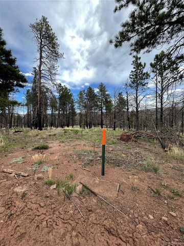 533 Leslie Loop, Fort Garland, CO 81133