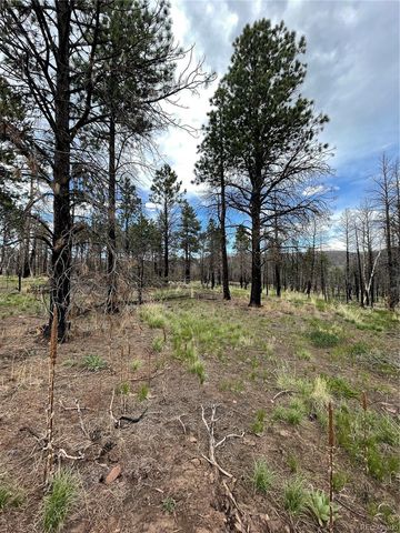 533 Leslie Loop, Fort Garland, CO 81133