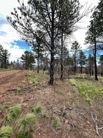 533 Leslie Loop, Fort Garland, CO 81133