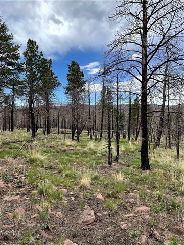 533 Leslie Loop, Fort Garland, CO 81133