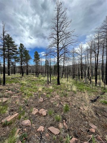 533 Leslie Loop, Fort Garland, CO 81133