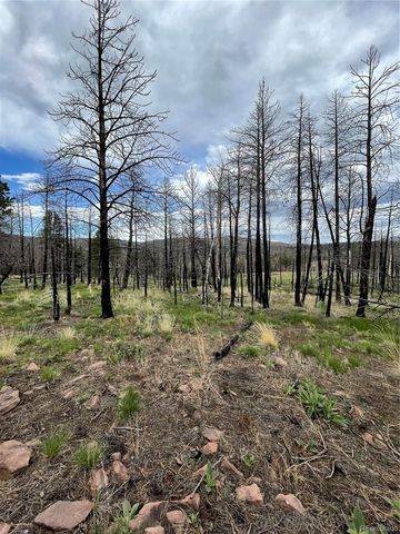 533 Leslie Loop, Fort Garland, CO 81133