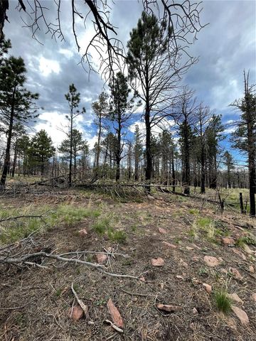 533 Leslie Loop, Fort Garland, CO 81133