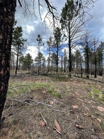 533 Leslie Loop, Fort Garland, CO 81133