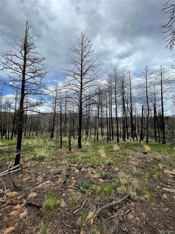 533 Leslie Loop, Fort Garland, CO 81133