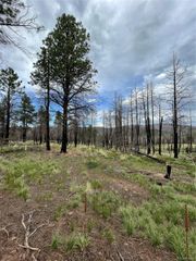 533 Leslie Loop, Fort Garland, CO 81133