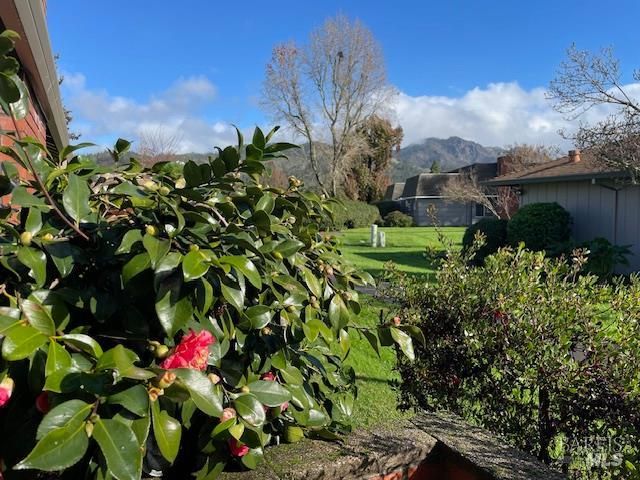 27 Woodgreen St, Santa Rosa, CA 95409