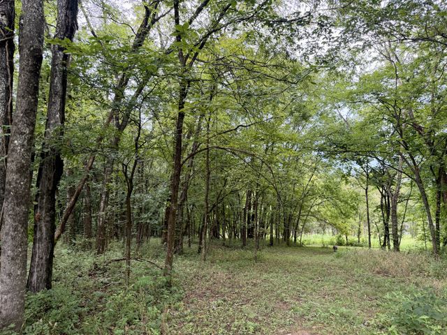 1755 Chicken Rd, Lebanon, TN 37090