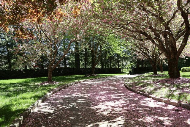 463 North Salem Road, Ridgefield, CT 06877