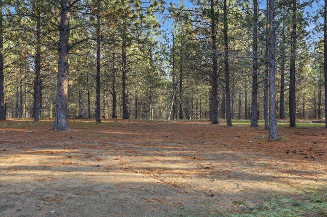 27501 N Bruce Rd, Chattaroy, WA 99003