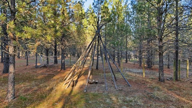 27501 N Bruce Rd, Chattaroy, WA 99003