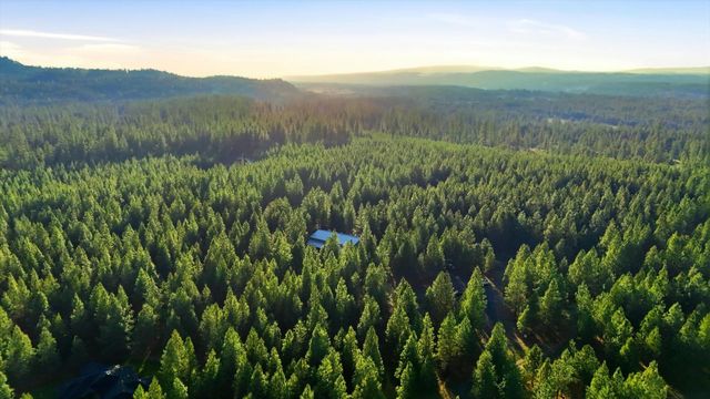 27501 N Bruce Rd, Chattaroy, WA 99003