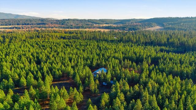 27501 N Bruce Rd, Chattaroy, WA 99003