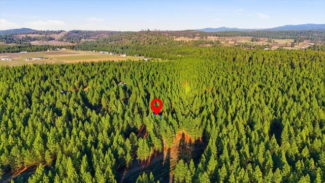 27501 N Bruce Rd, Chattaroy, WA 99003