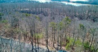 1410 Echota Lane, Mooresburg, TN 37811