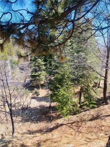 0 Circle, Lake Arrowhead, CA 92323