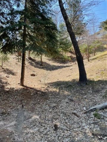 0 Circle, Lake Arrowhead, CA 92323