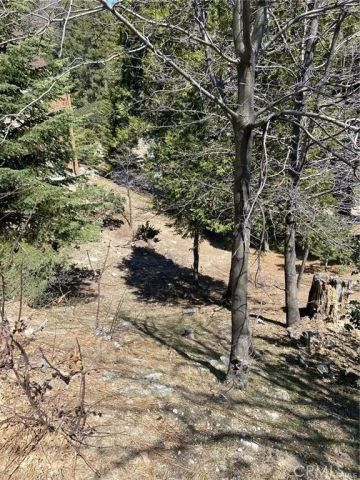 0 Circle, Lake Arrowhead, CA 92323
