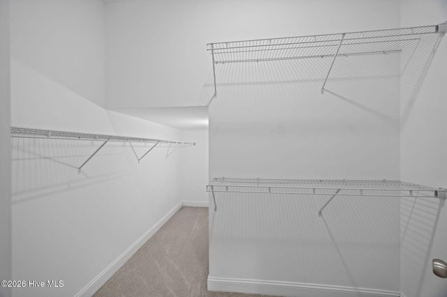 1819 Fox Den Way 5, Greenville, NC 27858