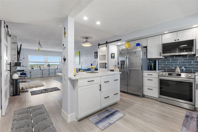 4725 COVE CIRCLE 704, St Petersburg, FL 33708