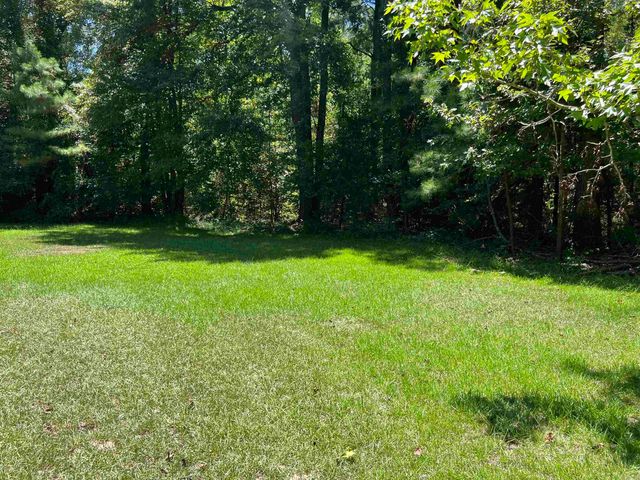 6250 Highway 133, Rison, AR 71665