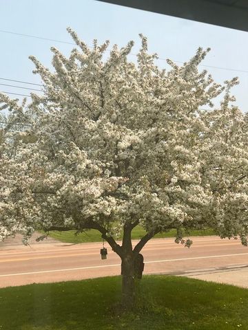 270 State Avenue S, New Germany, MN 55367