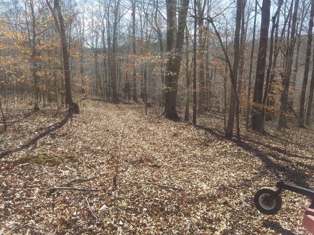 1071 Simms Heights Rd, Kingston Springs, TN 37082