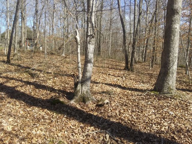 1071 Simms Heights Rd, Kingston Springs, TN 37082
