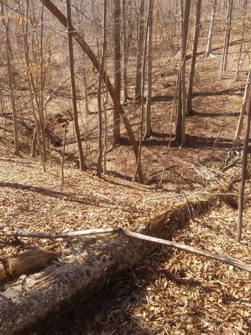 1071 Simms Heights Rd, Kingston Springs, TN 37082