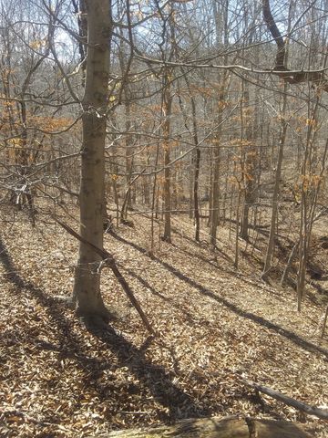 1071 Simms Heights Rd, Kingston Springs, TN 37082