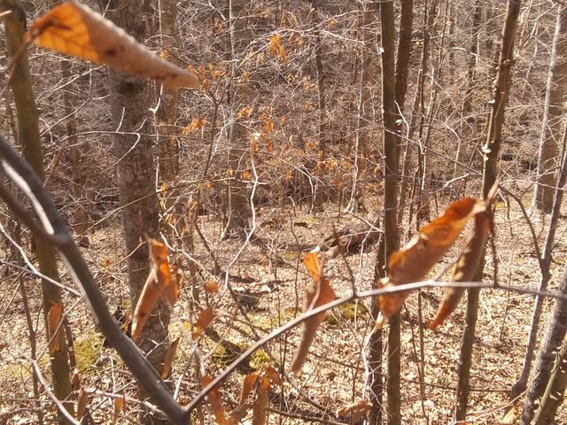 1071 Simms Heights Rd, Kingston Springs, TN 37082