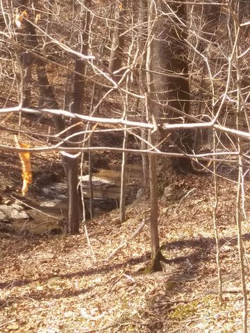 1071 Simms Heights Rd, Kingston Springs, TN 37082