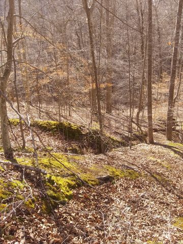 1071 Simms Heights Rd, Kingston Springs, TN 37082
