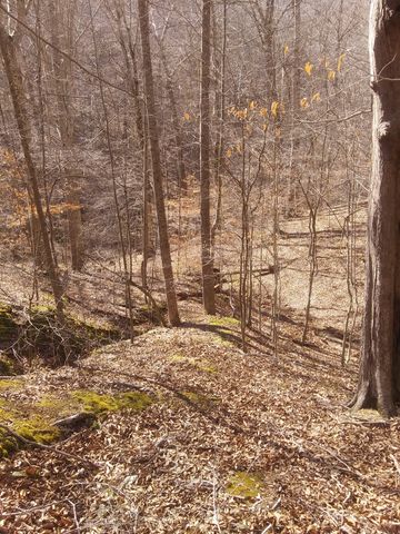 1071 Simms Heights Rd, Kingston Springs, TN 37082
