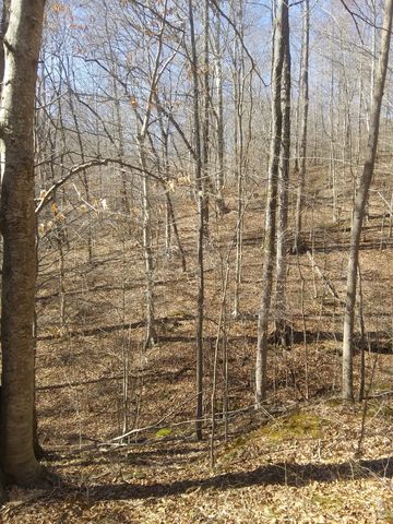 1071 Simms Heights Rd, Kingston Springs, TN 37082