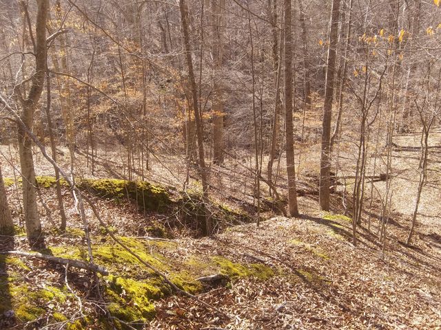 1071 Simms Heights Rd, Kingston Springs, TN 37082