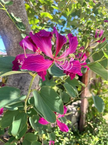 614 E I Street B, Ontario, CA 91764