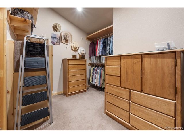 1163 Michigan Hill Rd, Jefferson, CO 80456