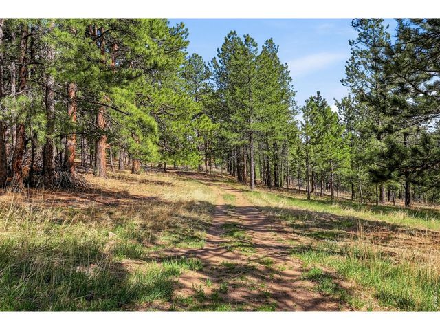 560 Quillan Gulch Rd, Loveland, CO 80537