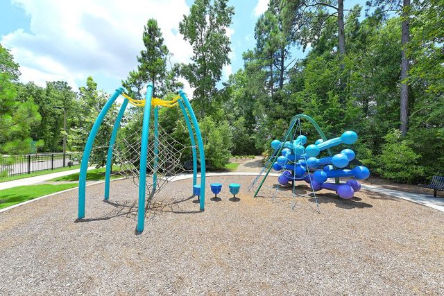 17211 Green Darter, Conroe, TX 77385