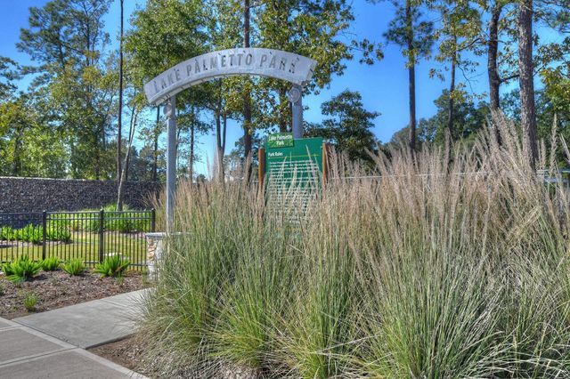 17211 Green Darter, Conroe, TX 77385