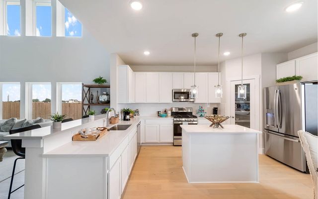5212 Cypress Rose Drive, Pearland, TX 77584