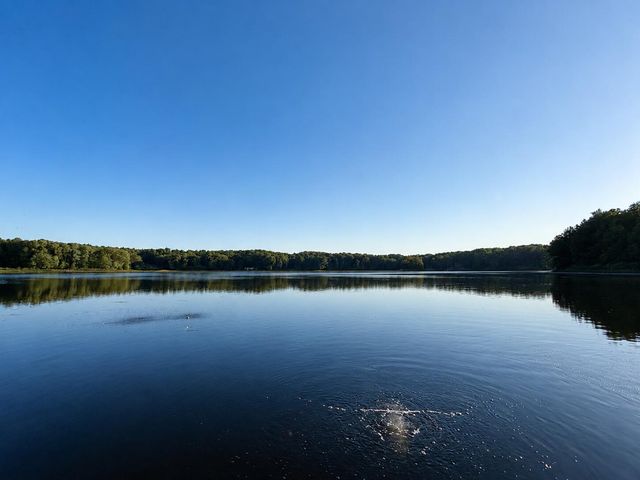 27661 Pine Lake Street, Edwardsburg, MI 49112