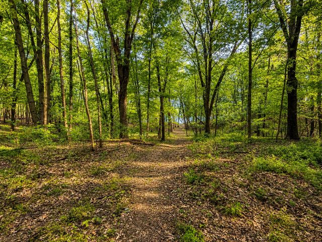 27661 Pine Lake Street, Edwardsburg, MI 49112