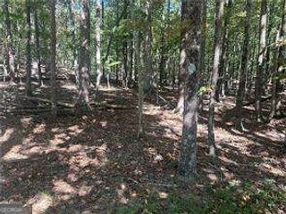 LT1352 Willow Terrace, Jasper, GA 30143