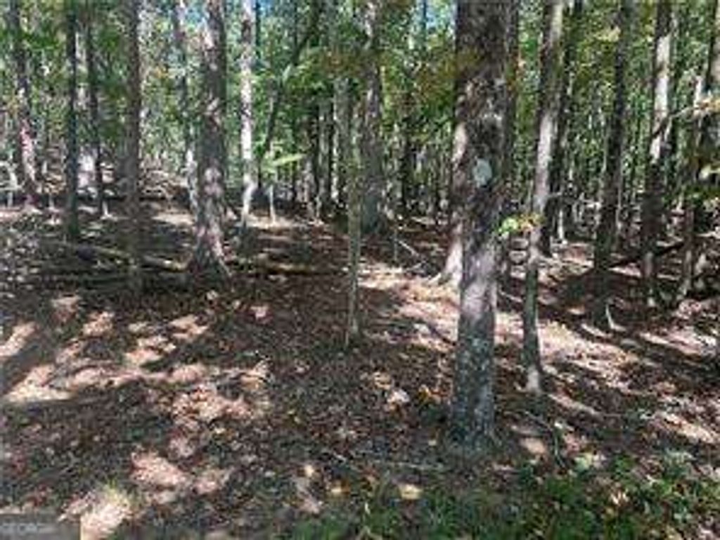 LT1352 Willow Terrace, Jasper, GA 30143