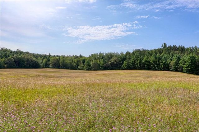 N9156 Tripp Road, Springbrook, WI 54875