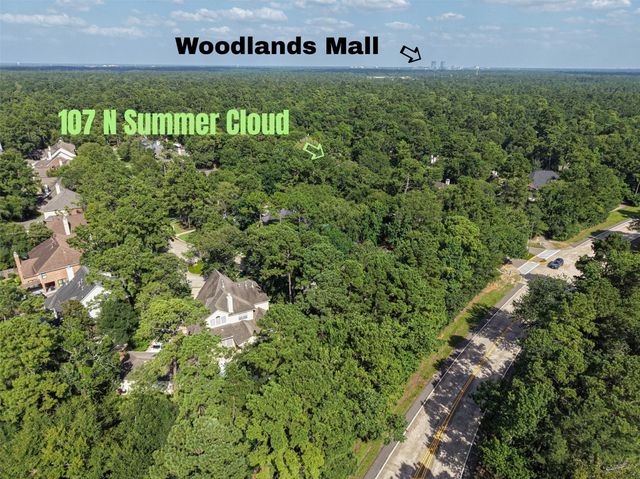 107 N Summer Cloud Drive, The Woodlands, TX 77381