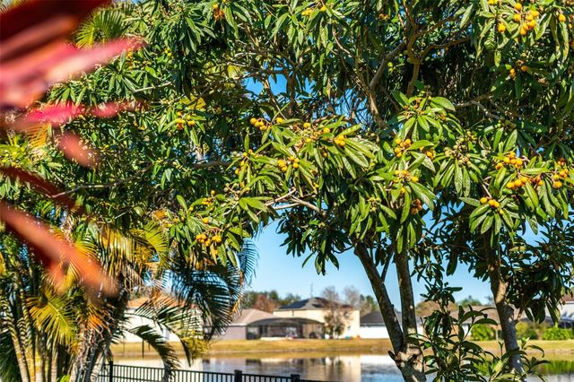 1015 SENECA FALLS DRIVE, Orlando, FL 32828