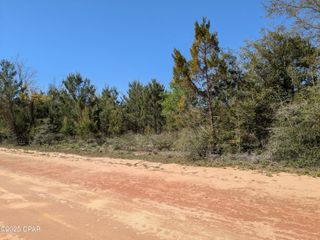 0 Joy, Marianna, FL 32448